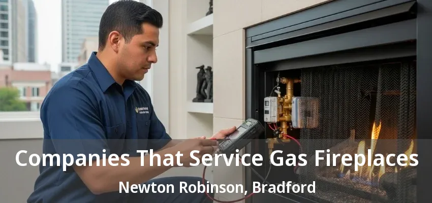 Companies That Service Gas Fireplaces Newton Robinson, Bradford - ON Companies That Service Gas Fireplaces Newton Robinson, Bradford - ON