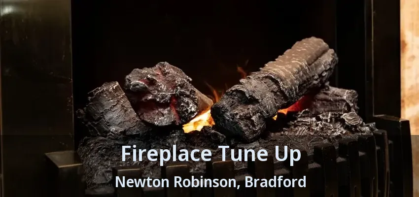 Fireplace Tune Up Newton Robinson, Bradford - ON Fireplace Tune Up Newton Robinson, Bradford - ON