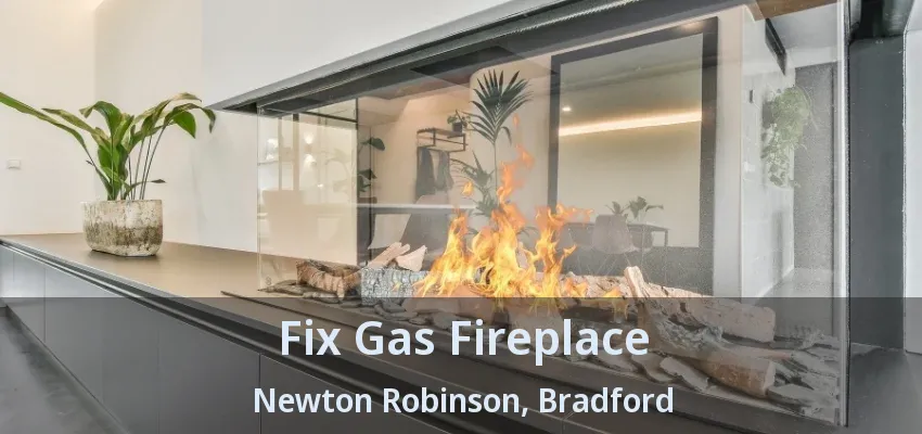 Fix Gas Fireplace Newton Robinson, Bradford - ON Fix Gas Fireplace Newton Robinson, Bradford - ON