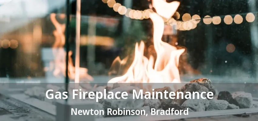 Gas Fireplace Maintenance Newton Robinson, Bradford - ON