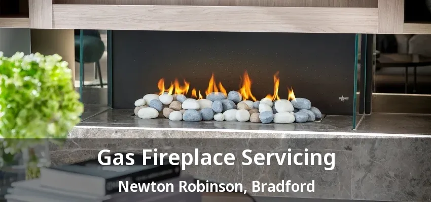Gas Fireplace Servicing Newton Robinson, Bradford - ON