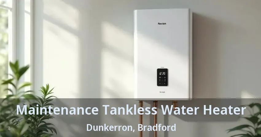 Maintenance Tankless Water Heater Dunkerron, Bradford - ON