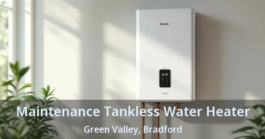 Maintenance Tankless Water Heater Green Valley, Bradford - ON