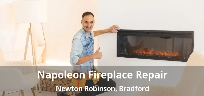 Napoleon Fireplace Repair Newton Robinson, Bradford - ON Napoleon Fireplace Repair Newton Robinson, Bradford - ON