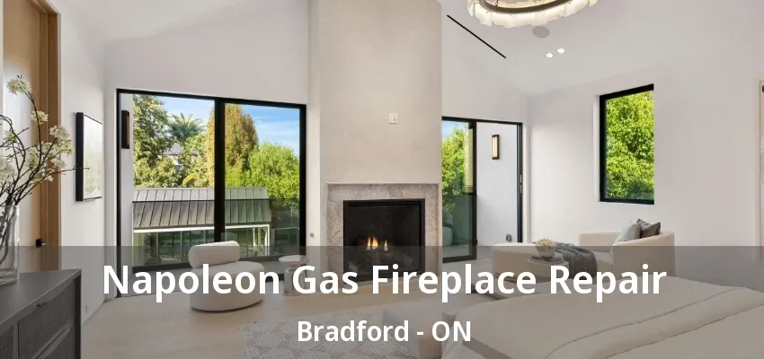 Napoleon Gas Fireplace Repair Bradford - ON Napoleon Gas Fireplace Repair Bradford - ON