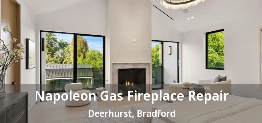 Napoleon Gas Fireplace Repair Deerhurst, Bradford - ON Napoleon Gas Fireplace Repair Deerhurst, Bradford - ON