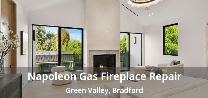 Napoleon Gas Fireplace Repair Green Valley, Bradford - ON