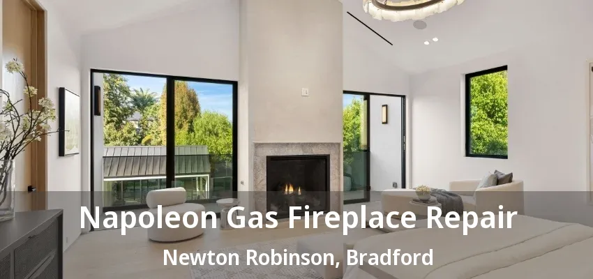 Napoleon Gas Fireplace Repair Newton Robinson, Bradford - ON Napoleon Gas Fireplace Repair Newton Robinson, Bradford - ON