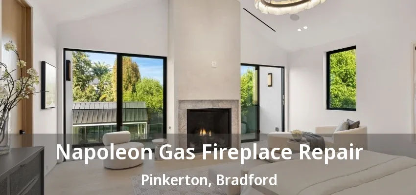 Napoleon Gas Fireplace Repair Pinkerton, Bradford - ON Napoleon Gas Fireplace Repair Pinkerton, Bradford - ON