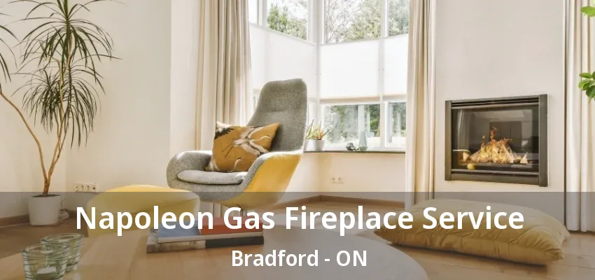 Napoleon Gas Fireplace Service Bradford - ON Napoleon Gas Fireplace Service Bradford - ON
