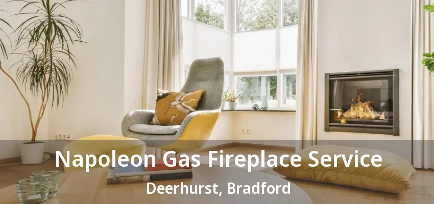 Napoleon Gas Fireplace Service Deerhurst, Bradford - ON