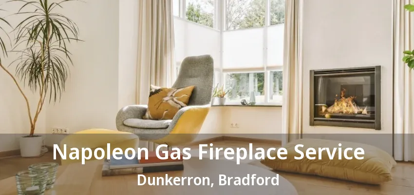 Napoleon Gas Fireplace Service Dunkerron, Bradford - ON