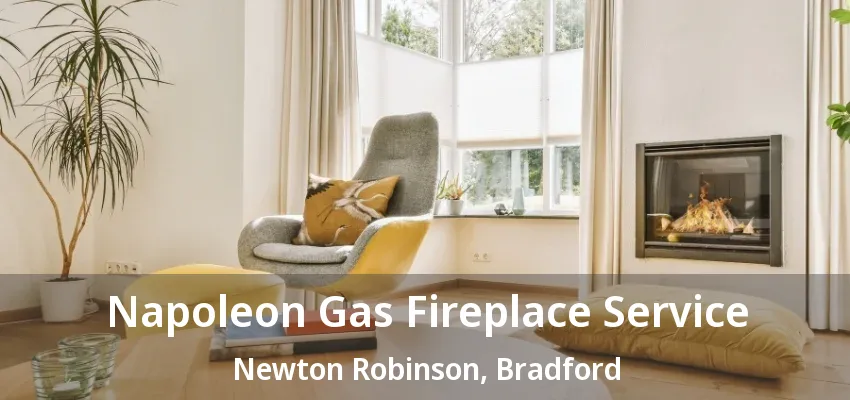 Napoleon Gas Fireplace Service Newton Robinson, Bradford - ON Napoleon Gas Fireplace Service Newton Robinson, Bradford - ON