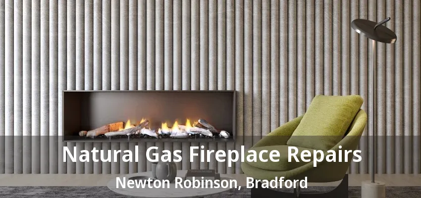 Natural Gas Fireplace Repairs Newton Robinson, Bradford - ON Natural Gas Fireplace Repairs Newton Robinson, Bradford - ON