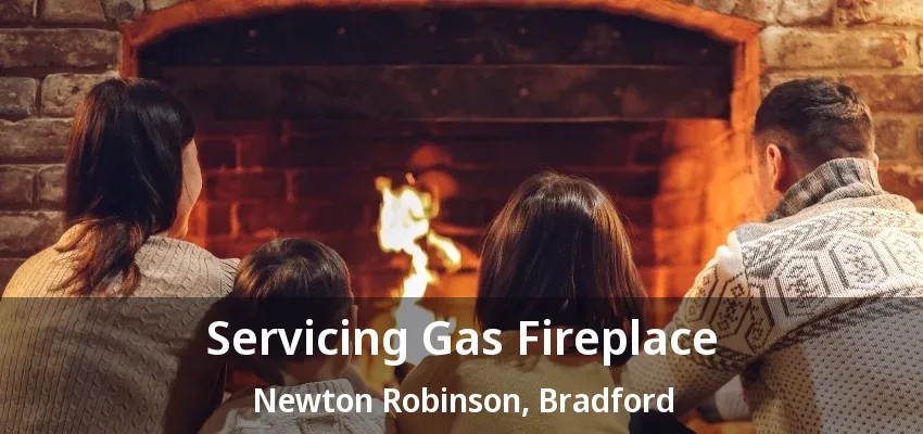 Servicing Gas Fireplace Newton Robinson, Bradford - ON
