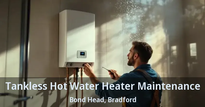 Tankless Hot Water Heater Maintenance Bond Head, Bradford - ON