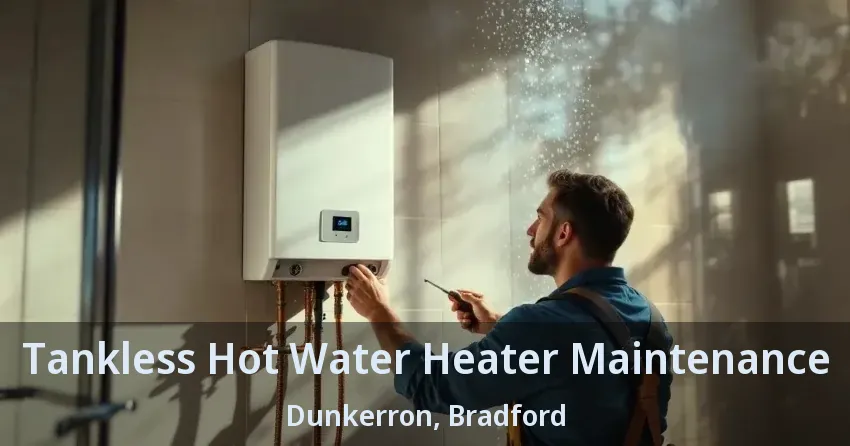 Tankless Hot Water Heater Maintenance Dunkerron, Bradford - ON