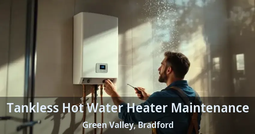Tankless Hot Water Heater Maintenance Green Valley, Bradford - ON Tankless Hot Water Heater Maintenance Green Valley, Bradford - ON