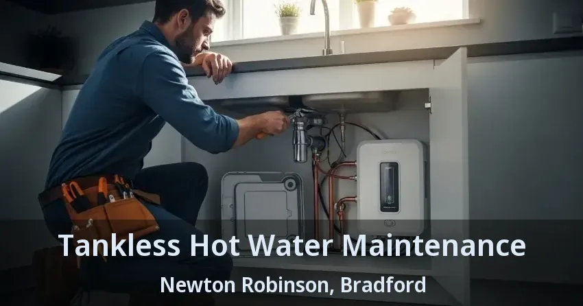 Tankless Hot Water Maintenance Newton Robinson, Bradford - ON Tankless Hot Water Maintenance Newton Robinson, Bradford - ON