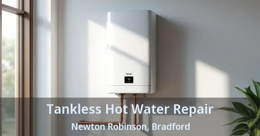 Tankless Hot Water Repair Newton Robinson, Bradford - ON