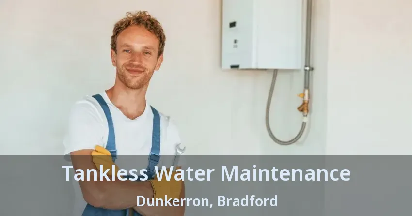 Tankless Water Maintenance Dunkerron, Bradford - ON